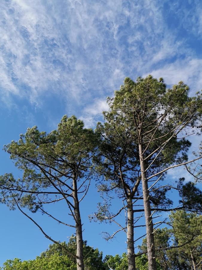 O Lac Лакано Экстерьер фото